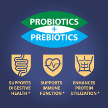 Load image into Gallery viewer, Sea Salt Flavored Banana Chips (Pack of 4)